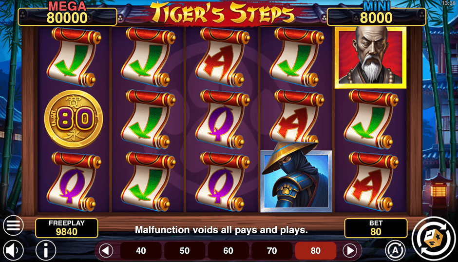 /casino_images/slots_pict/screenshots/screen1-Tiger's Steps Hold And Win.png