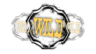 Wild Symbols and Revolver Mechanics logo